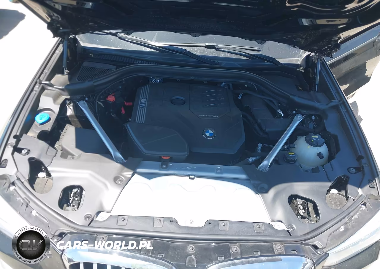 2021 BMW X3 Sdrive30I VIN:5UXTY3C0XM9G42313 - 10