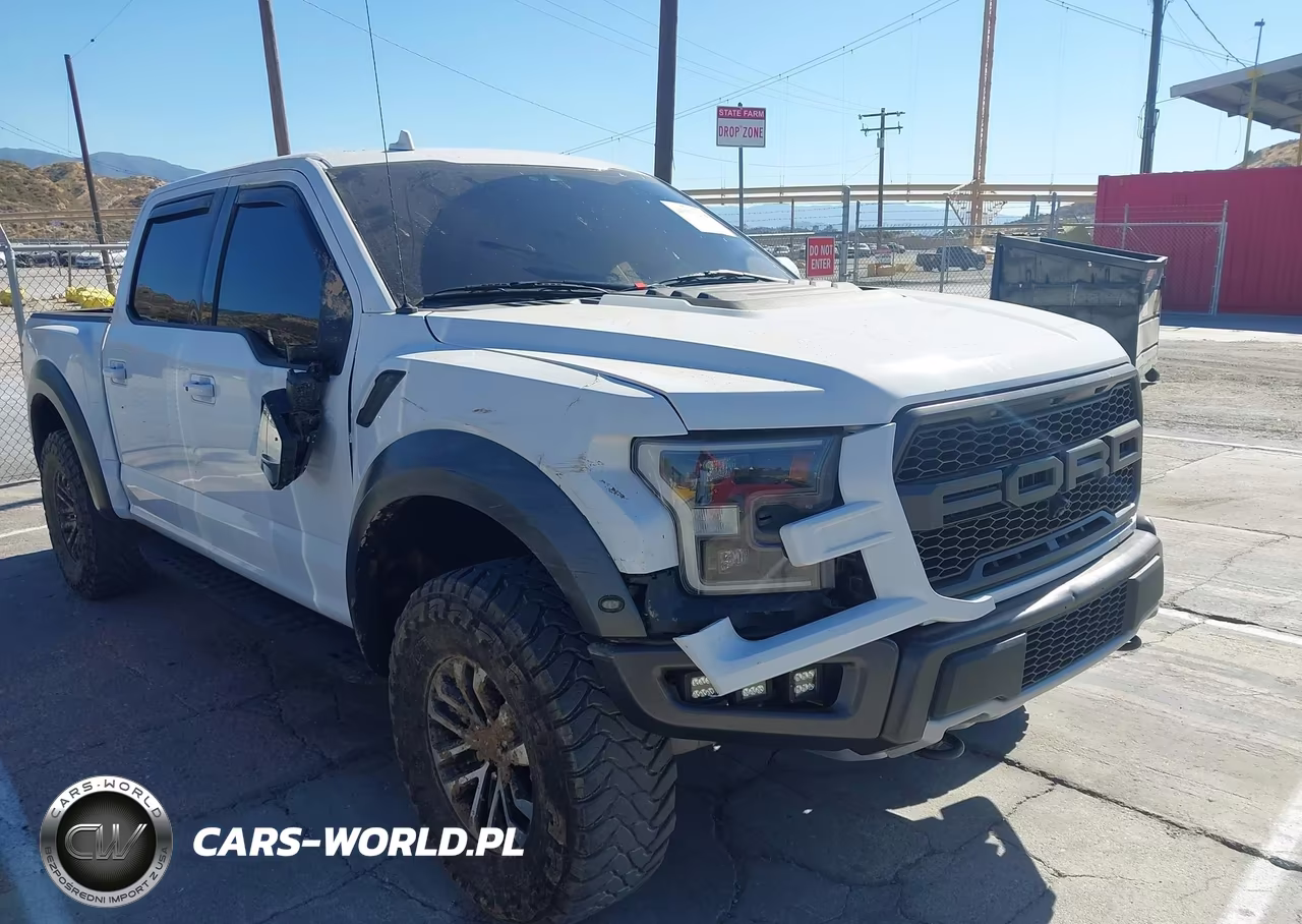 2019 Ford F-150 Raptor – zdjęcie 1 z 16