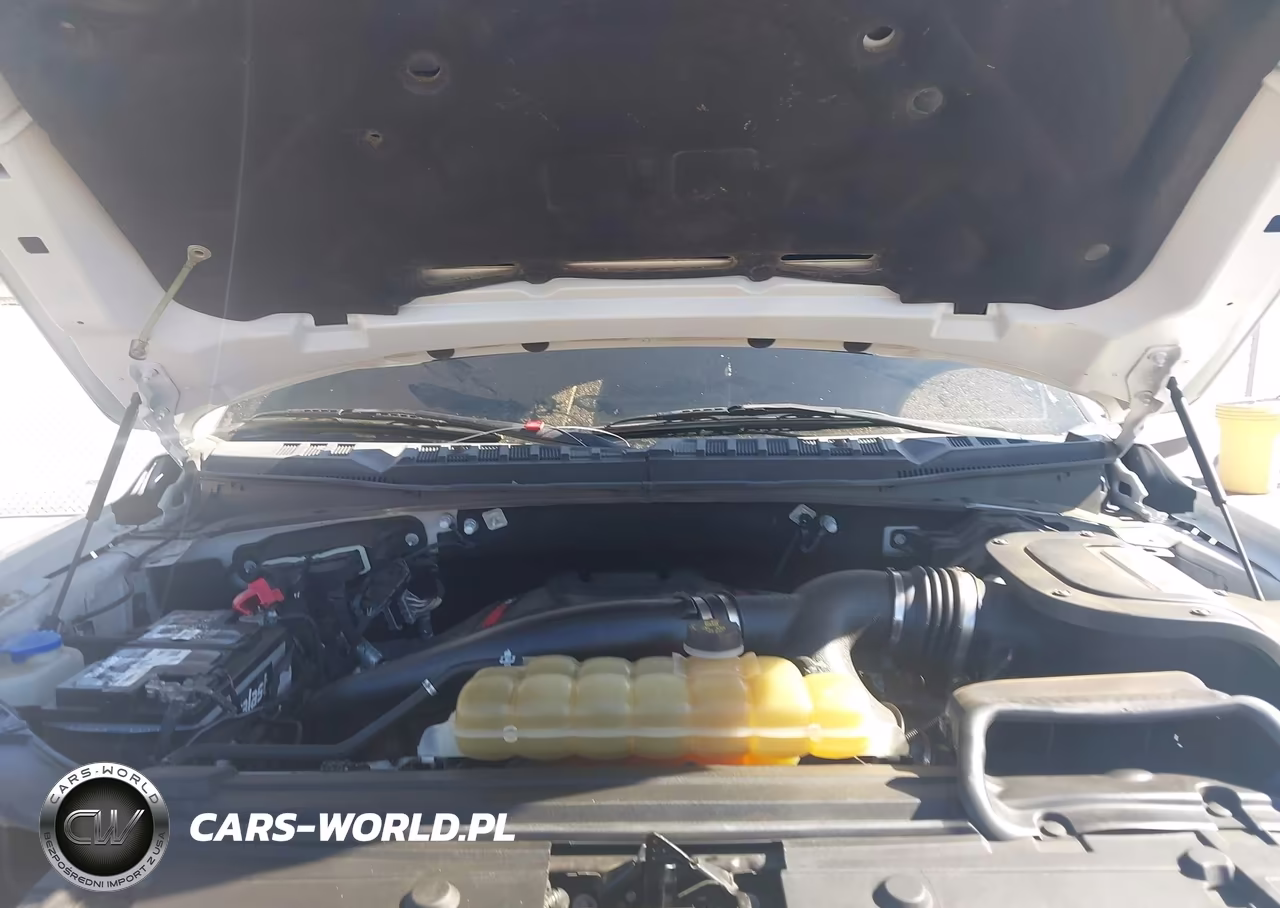 2019 Ford F-150 Raptor VIN:1FTFW1RG7KFA74384 - 10