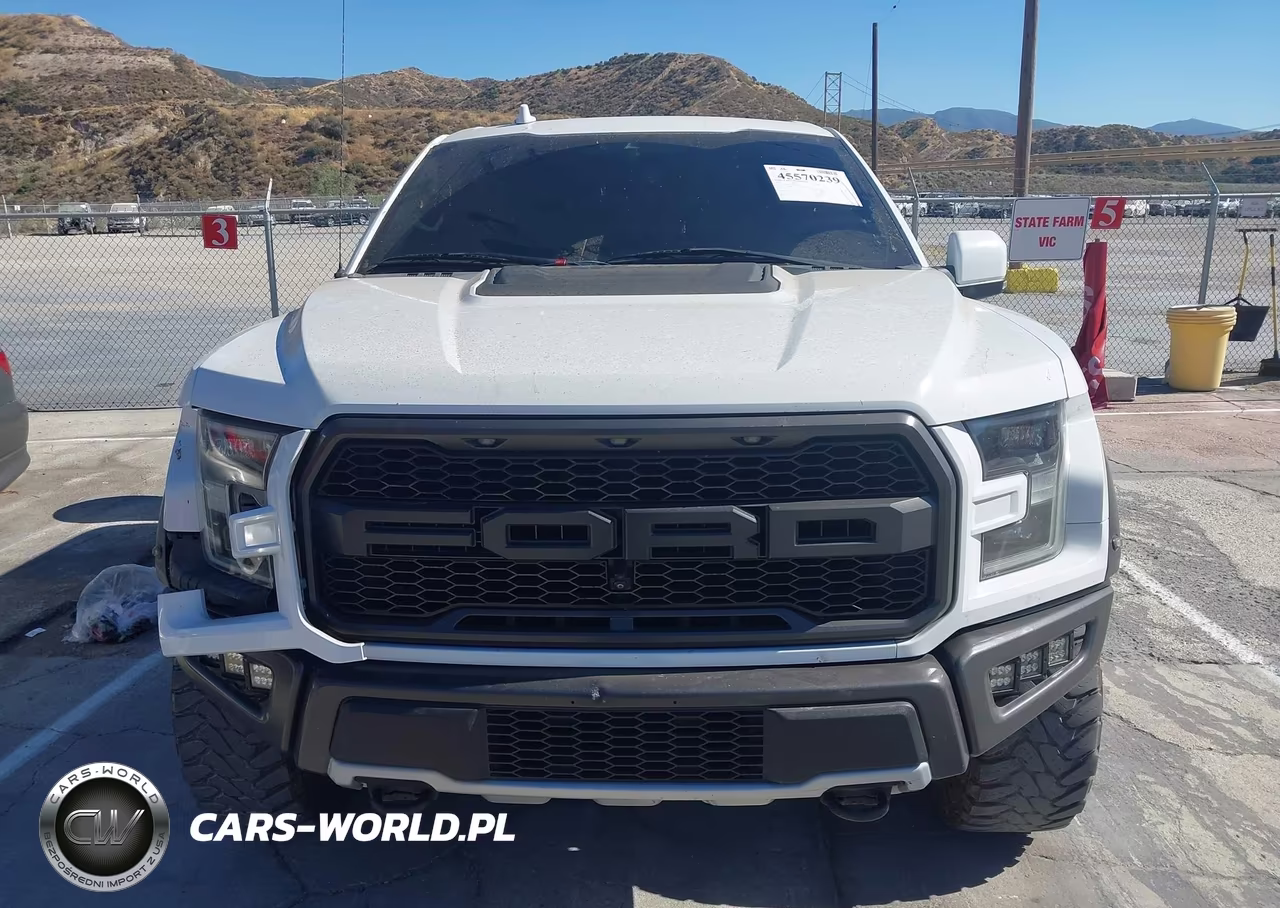 2019 Ford F-150 Raptor VIN:1FTFW1RG7KFA74384 - 12