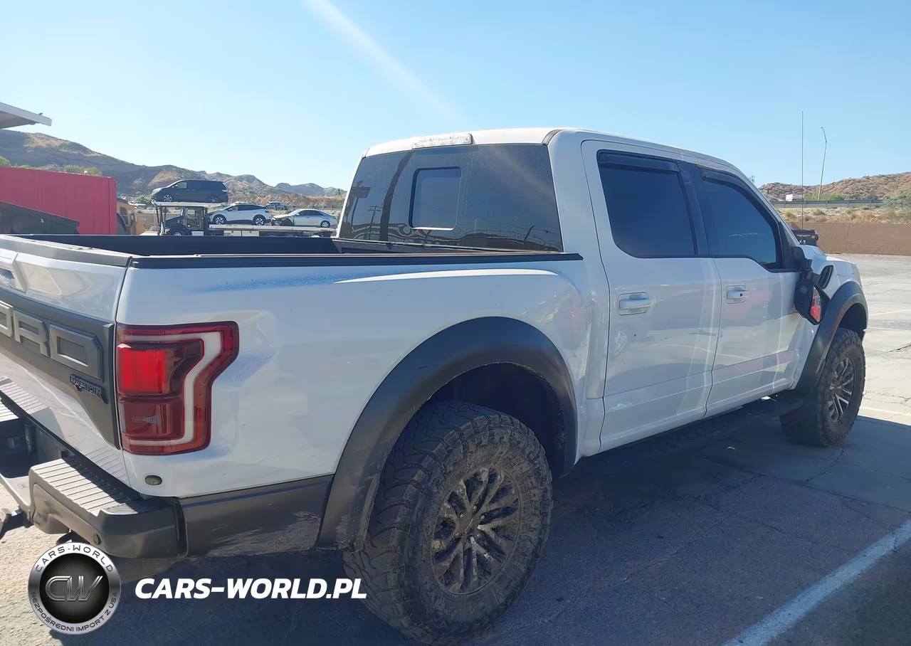 2019 Ford F-150 Raptor VIN:1FTFW1RG7KFA74384 - 13