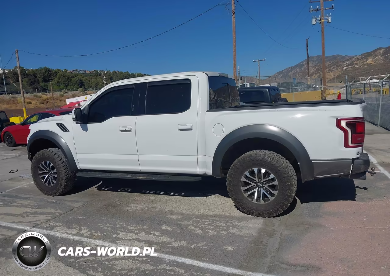2019 Ford F-150 Raptor VIN:1FTFW1RG7KFA74384 - 14
