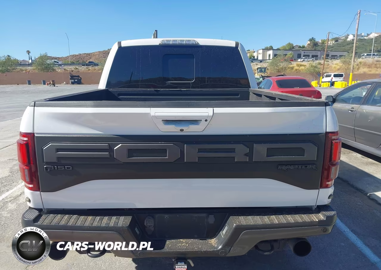 2019 Ford F-150 Raptor VIN:1FTFW1RG7KFA74384 - 16