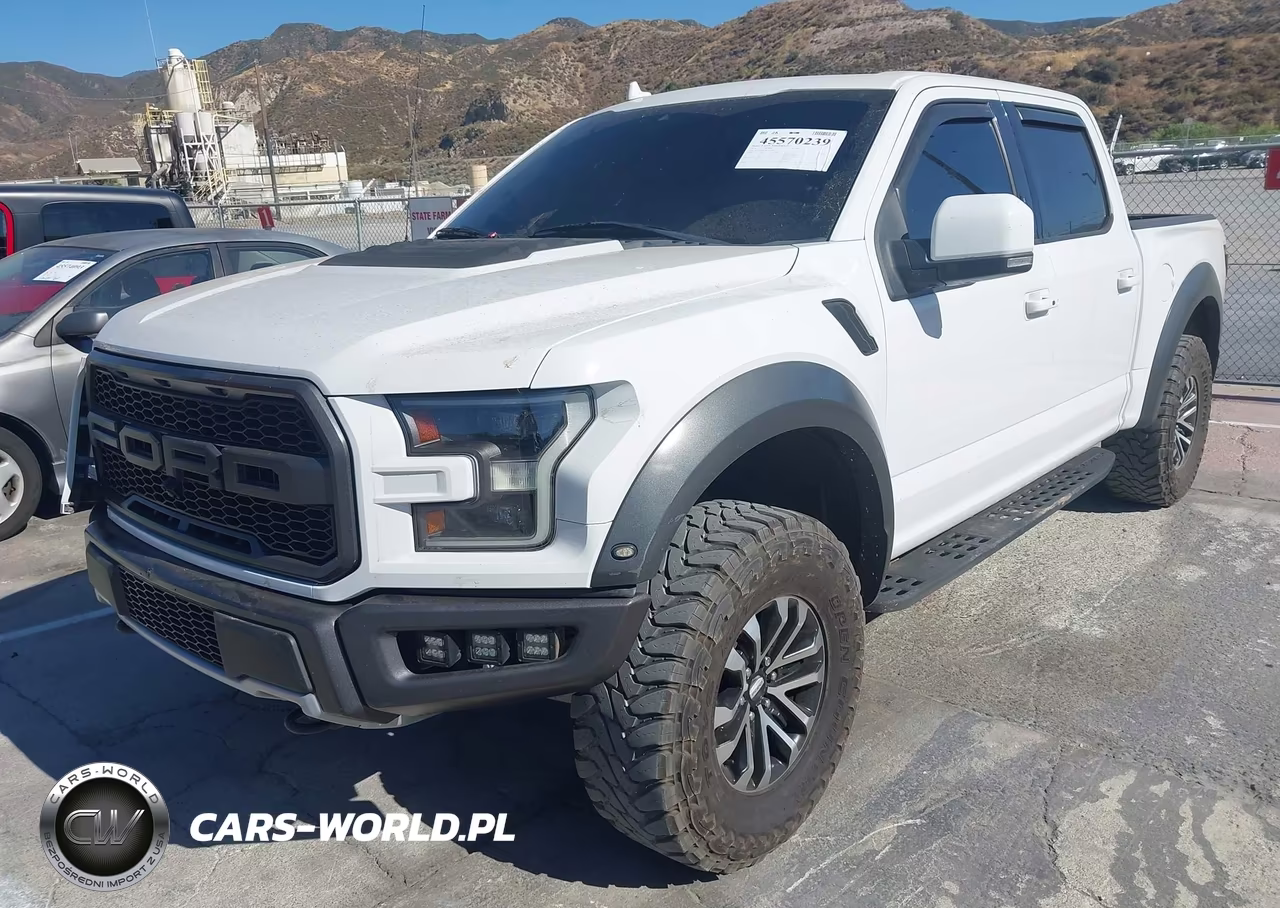2019 Ford F-150 Raptor VIN:1FTFW1RG7KFA74384 - 2