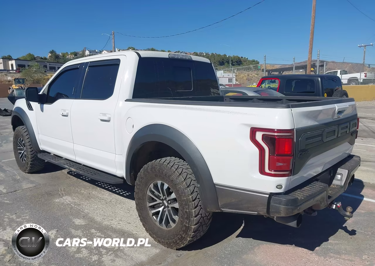 2019 Ford F-150 Raptor VIN:1FTFW1RG7KFA74384 - 3