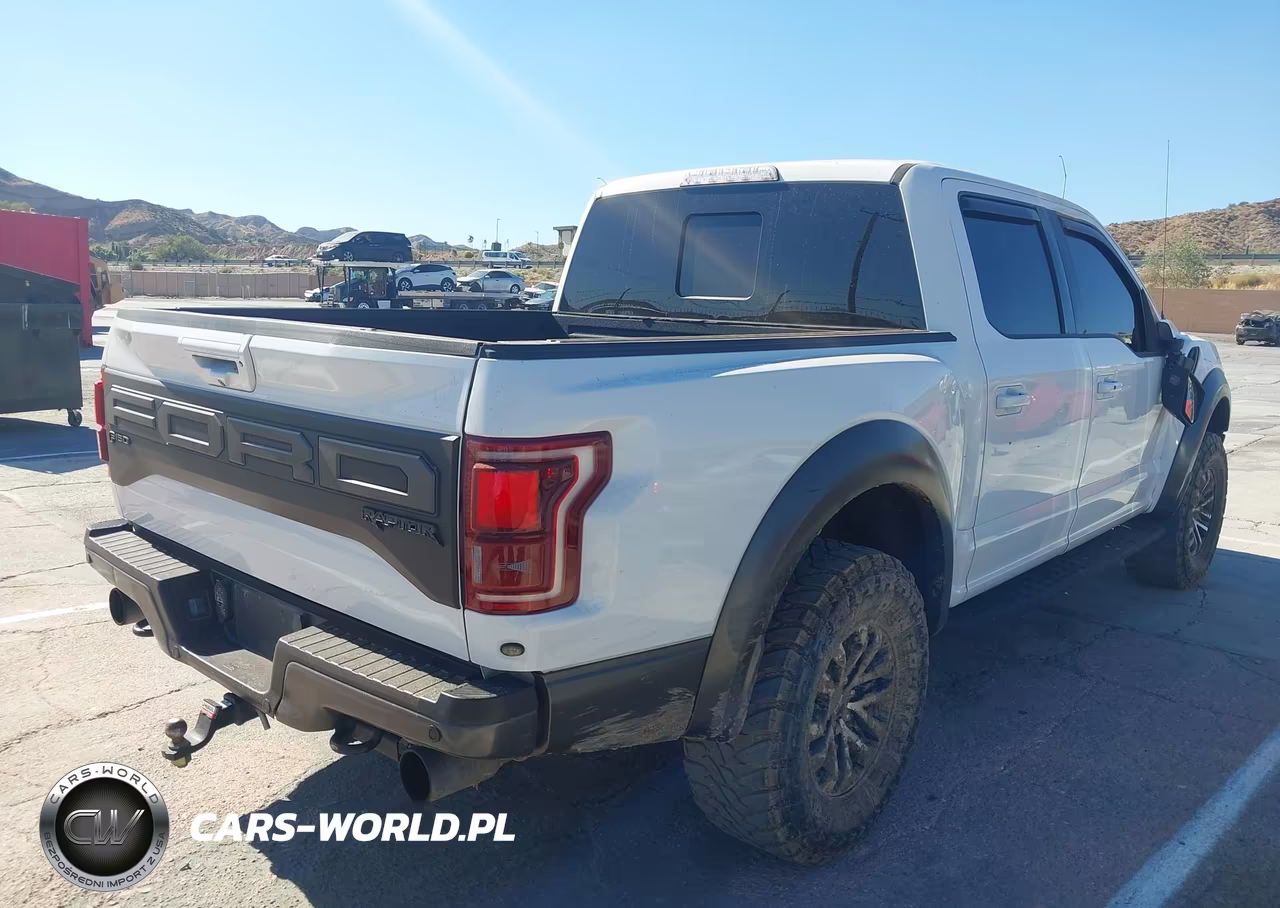 2019 Ford F-150 Raptor VIN:1FTFW1RG7KFA74384 - 4