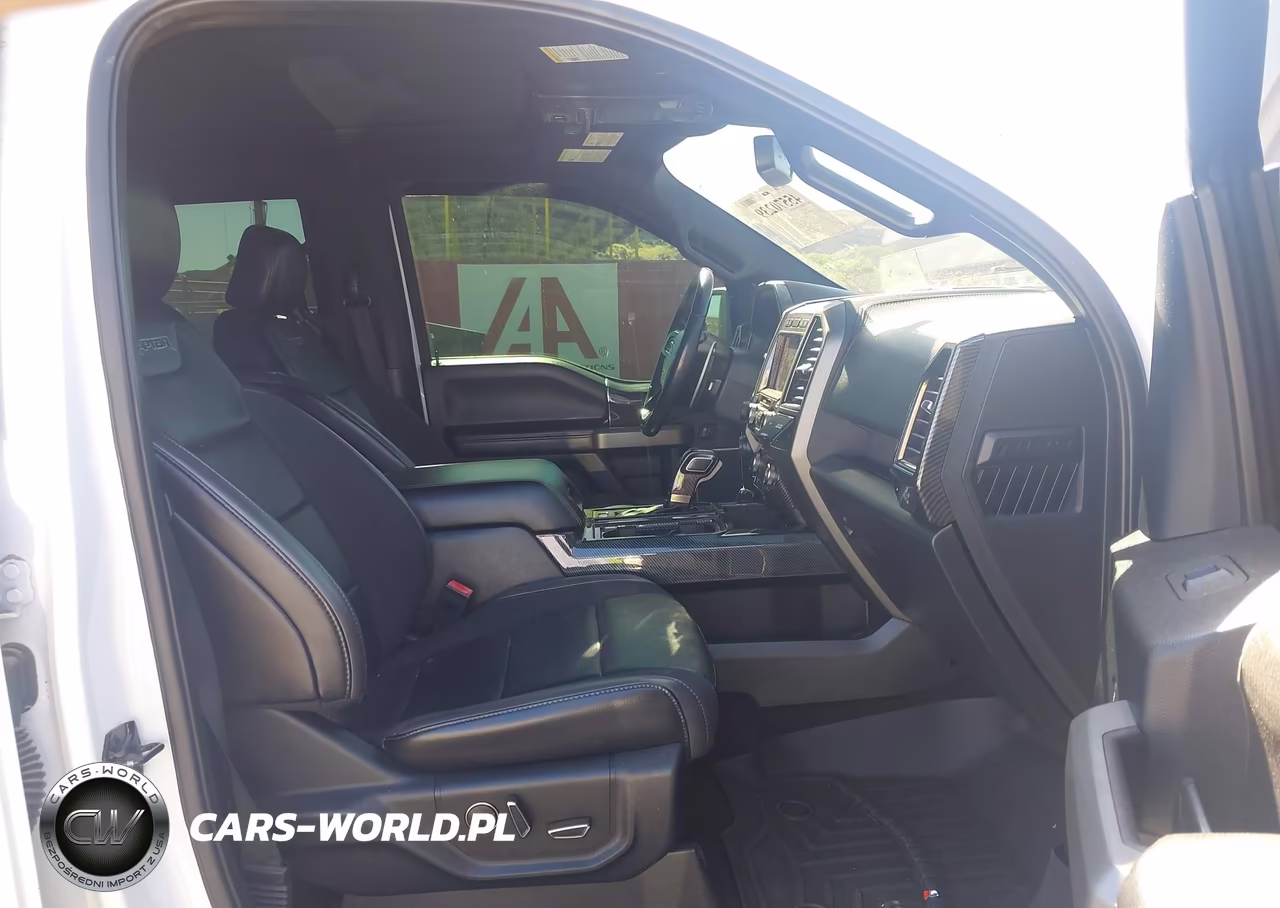 2019 Ford F-150 Raptor VIN:1FTFW1RG7KFA74384 - 5