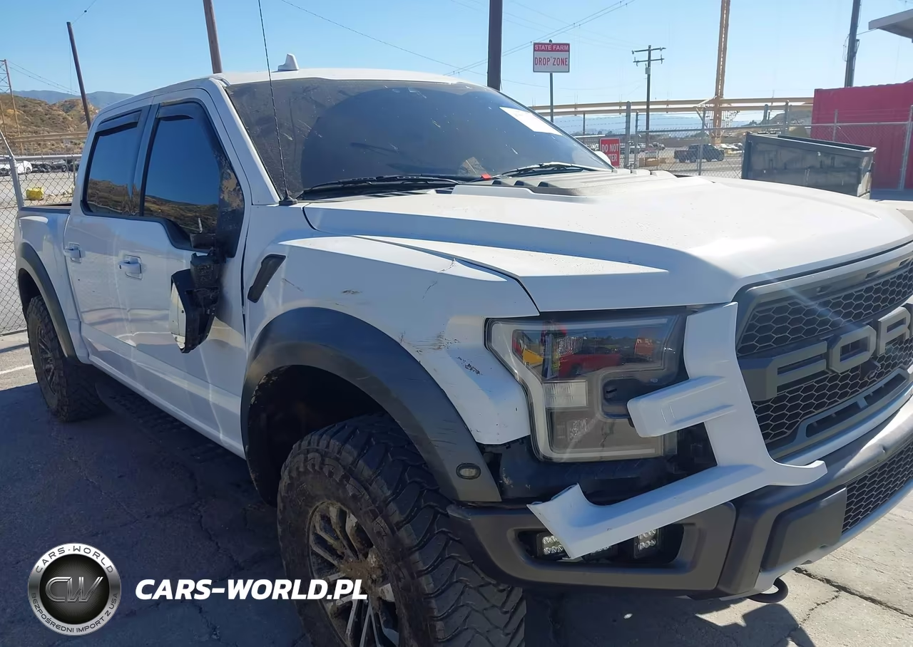 2019 Ford F-150 Raptor VIN:1FTFW1RG7KFA74384 - 6