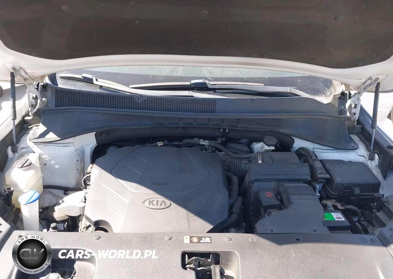 2019 Kia Sorento 3.3L Ex VIN:5XYPH4A59KG538301 - 10