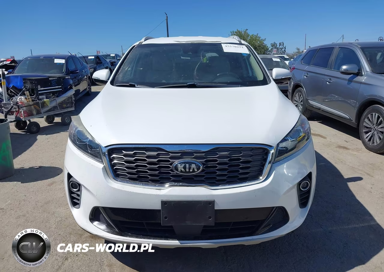 2019 Kia Sorento 3.3L Ex VIN:5XYPH4A59KG538301 - 12