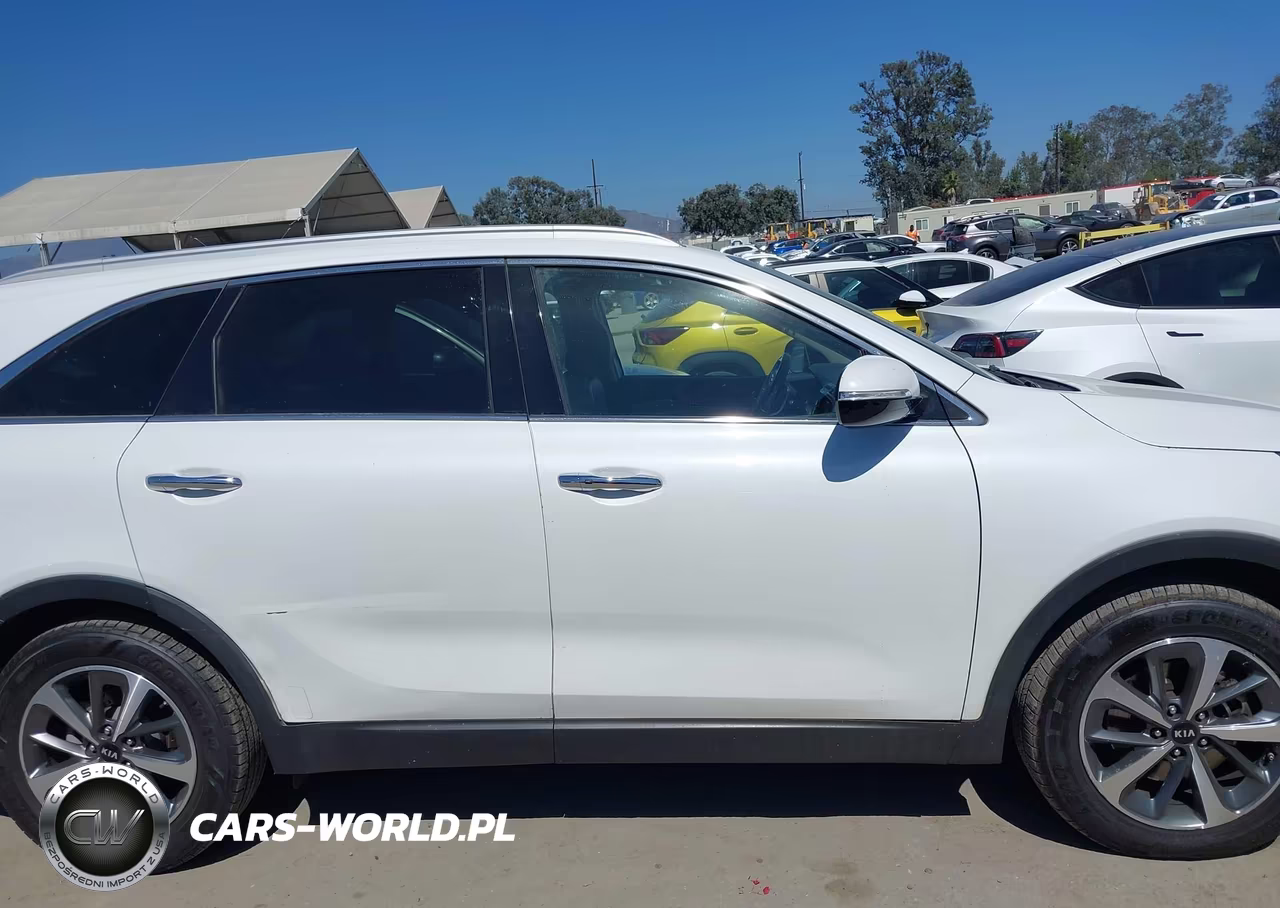 2019 Kia Sorento 3.3L Ex VIN:5XYPH4A59KG538301 - 13