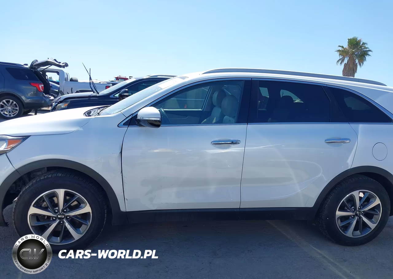 2019 Kia Sorento 3.3L Ex VIN:5XYPH4A59KG538301 - 14