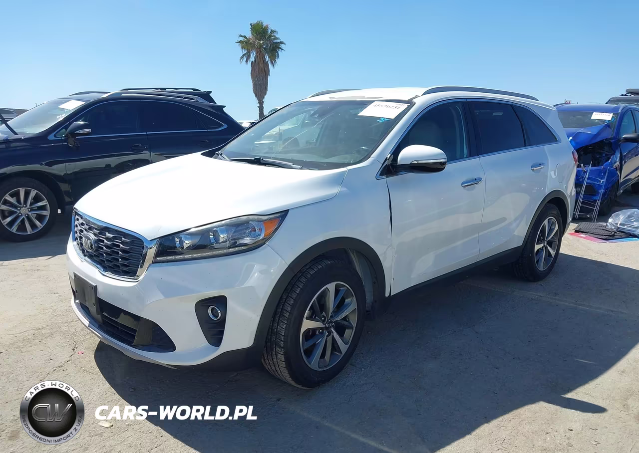 2019 Kia Sorento 3.3L Ex VIN:5XYPH4A59KG538301 - 2