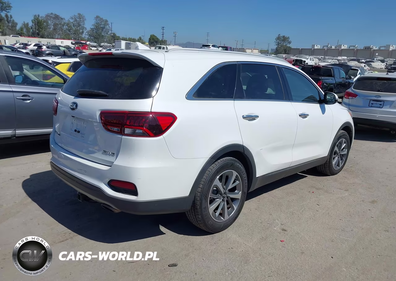 2019 Kia Sorento 3.3L Ex VIN:5XYPH4A59KG538301 - 4