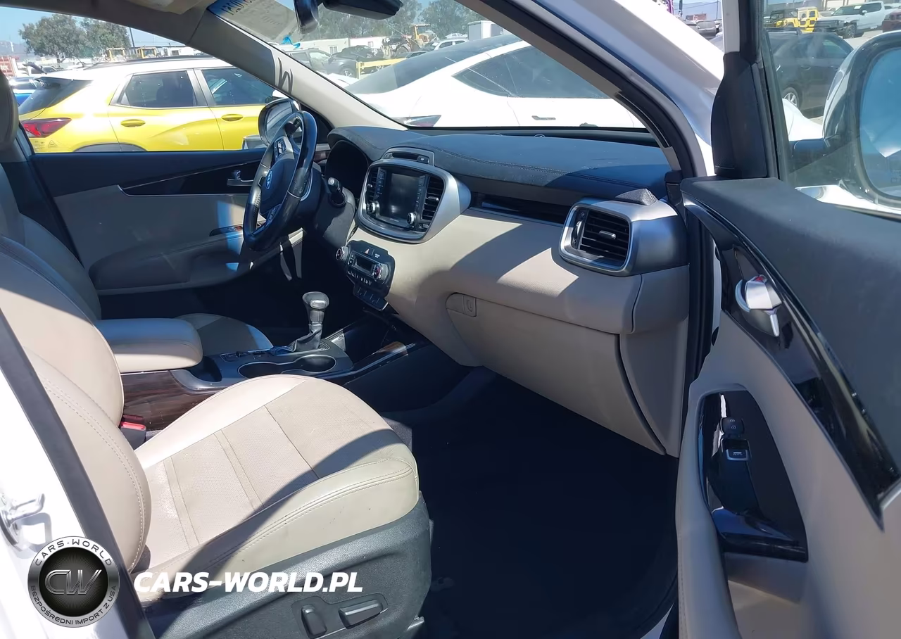 2019 Kia Sorento 3.3L Ex VIN:5XYPH4A59KG538301 - 5