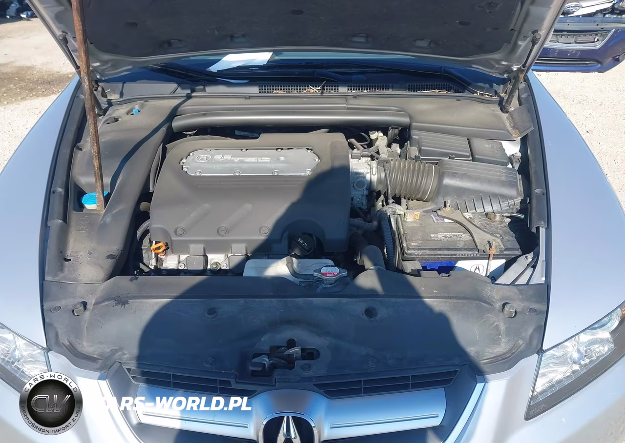 2004 Acura Tl VIN:19UUA66214A066083 - 10