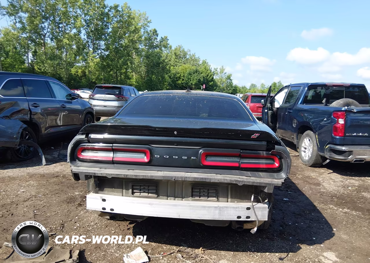 2019 Dodge Challenger Gt Awd VIN:2C3CDZKG5KH522349 - 17