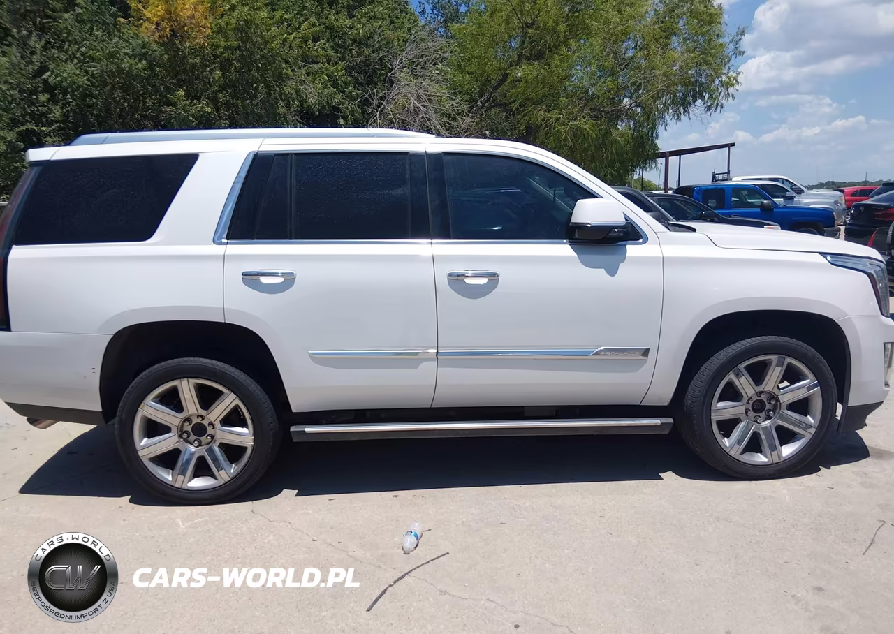 2016 Cadillac Escalade Premium Collection VIN:1GYS4CKJ5GR248619 - 12