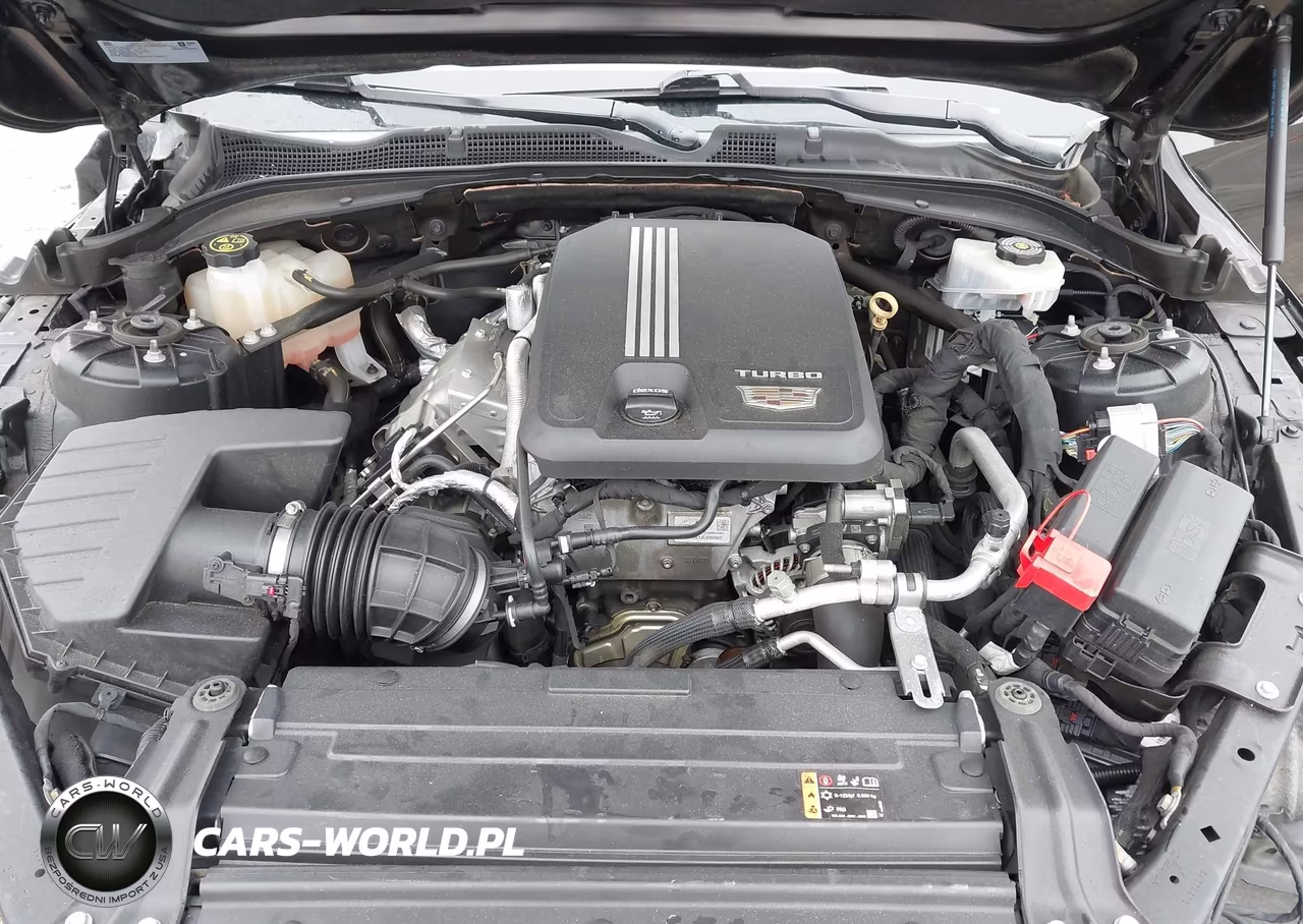 2021 Cadillac Ct4 Premium Luxury VIN:1G6DB5RK4M0129204 - 10