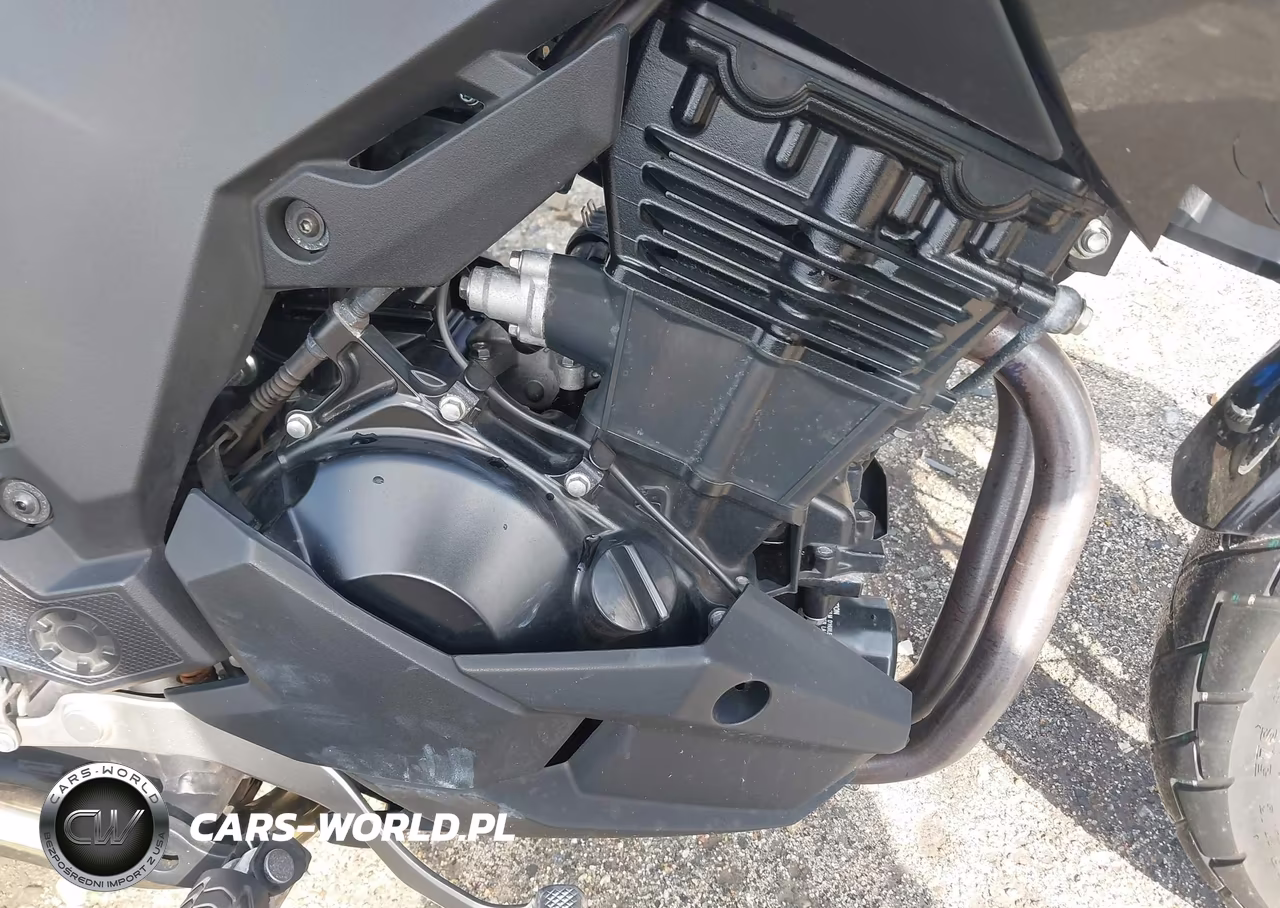 2021 Kawasaki Kle300 C VIN:JKALE8C10MDA10914 - 8