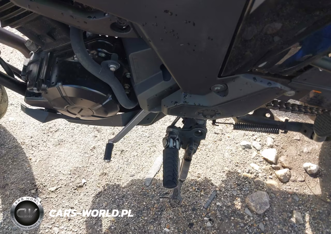 2021 Kawasaki Kle300 C VIN:JKALE8C10MDA10914 - 9