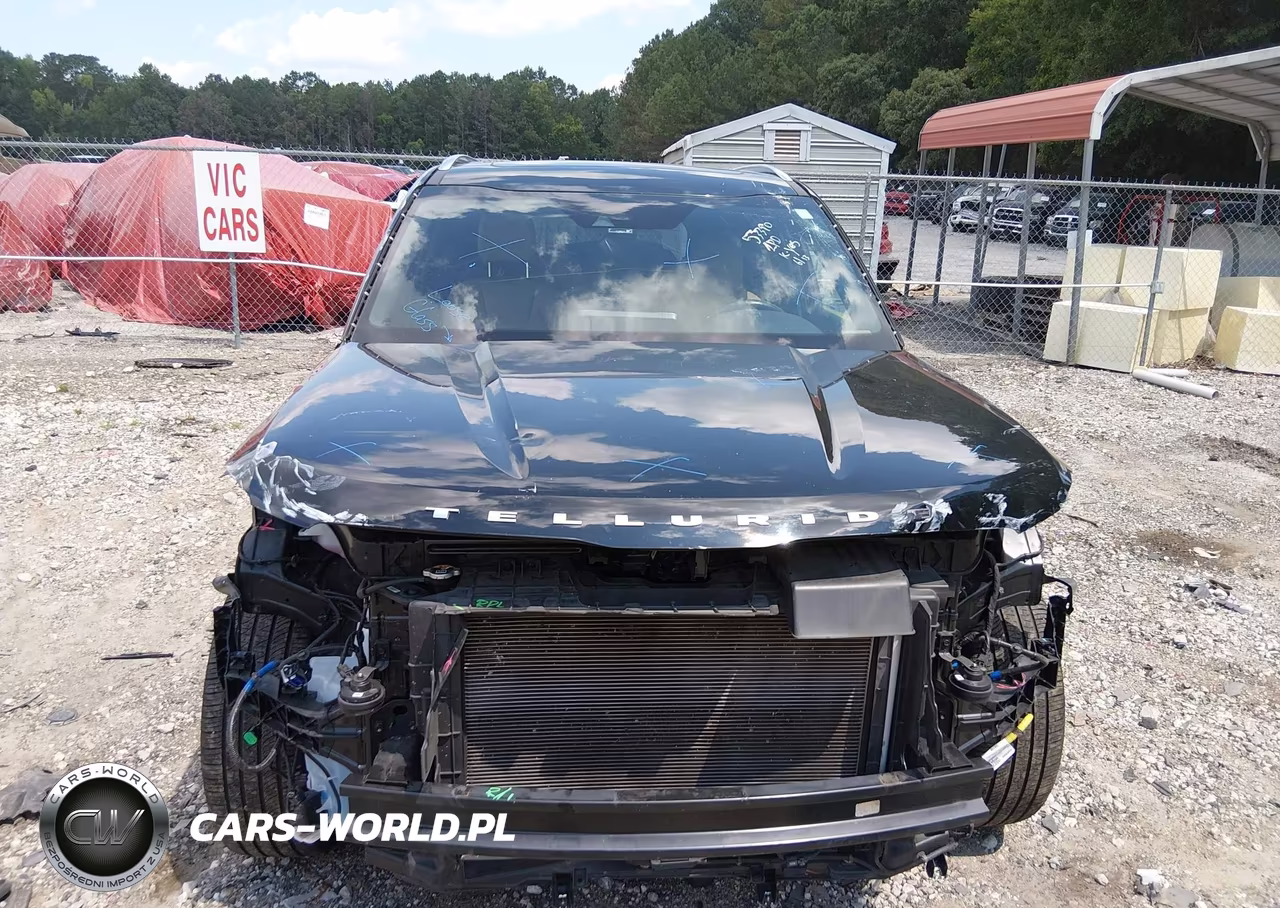 2022 Kia Telluride Sx VIN:5XYP54HC8NG301820 - 13