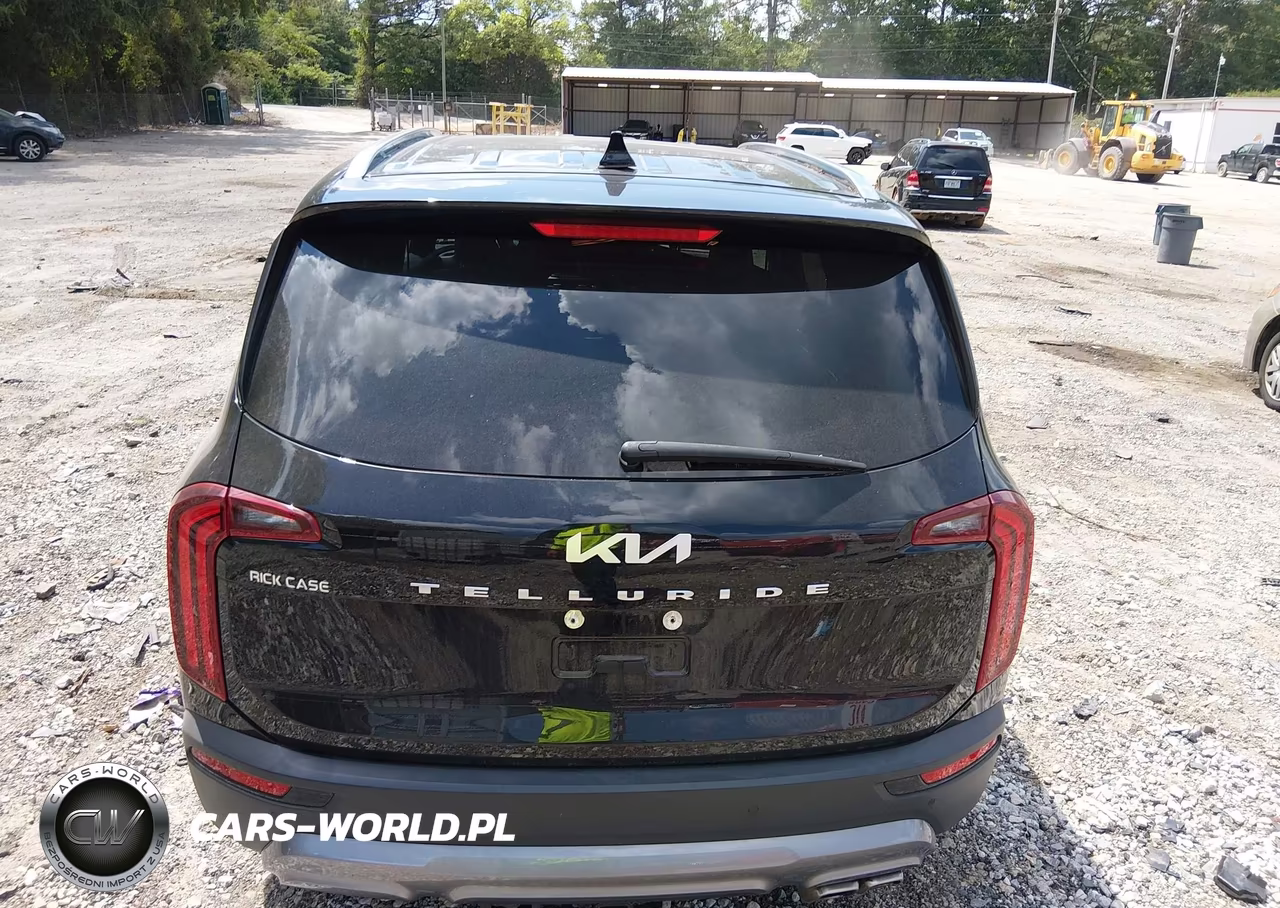 2022 Kia Telluride Sx VIN:5XYP54HC8NG301820 - 17