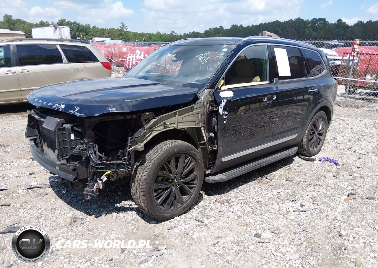 2022 Kia Telluride Sx VIN:5XYP54HC8NG301820 - 2