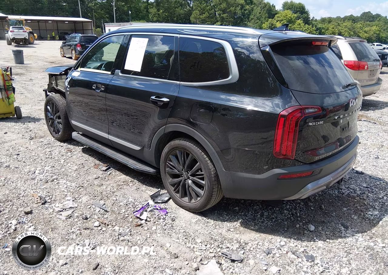2022 Kia Telluride Sx VIN:5XYP54HC8NG301820 - 3