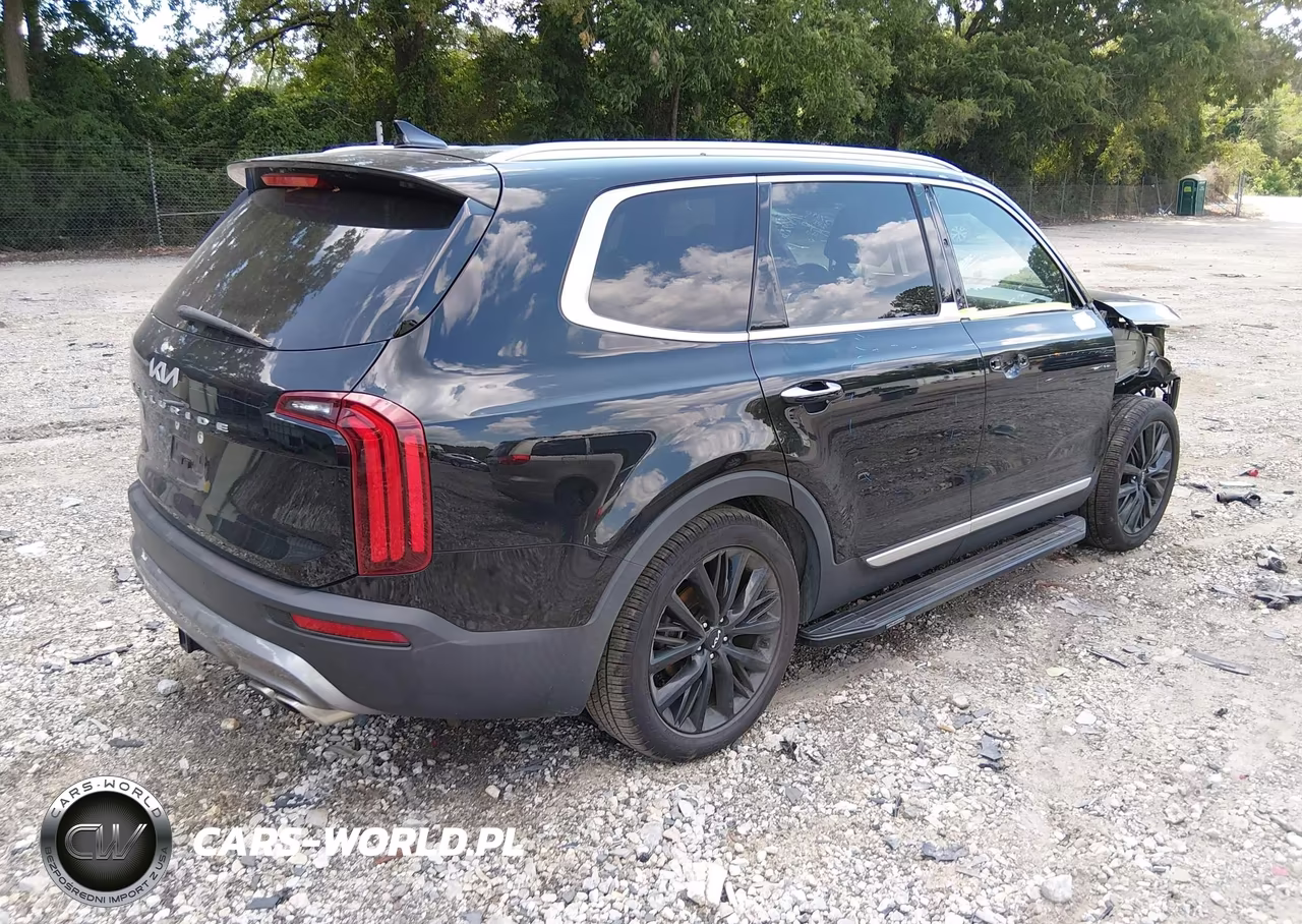 2022 Kia Telluride Sx VIN:5XYP54HC8NG301820 - 4