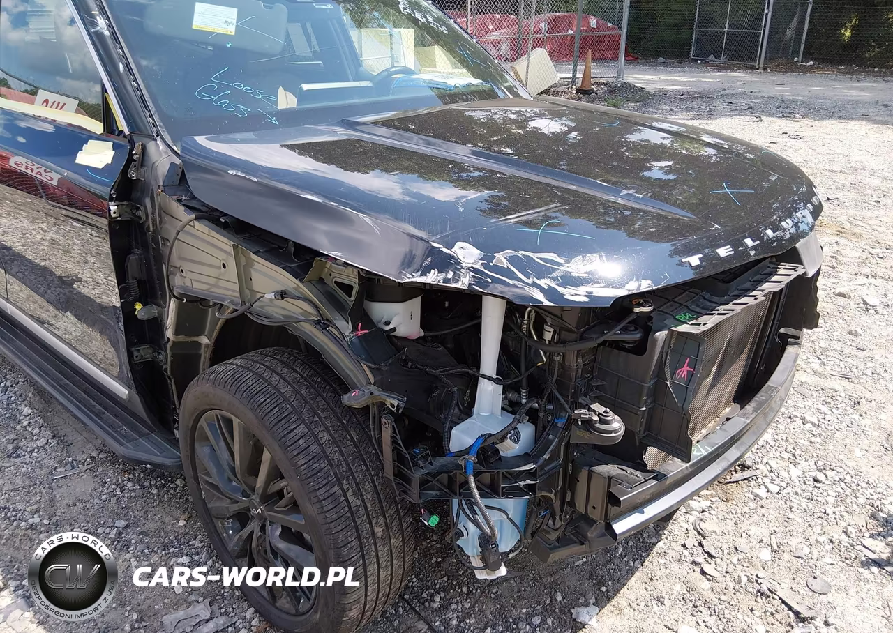 2022 Kia Telluride Sx VIN:5XYP54HC8NG301820 - 6