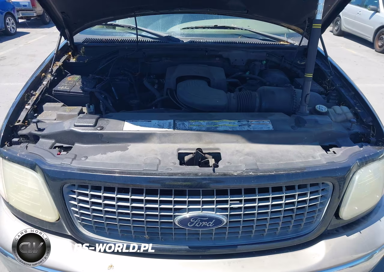 2002 Ford Expedition Eddie Bauer VIN:1FMFU18L72LA21167 - 10
