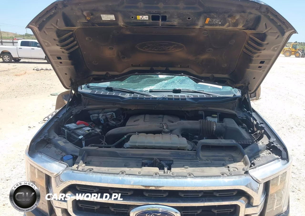 2021 Ford F-150 Xlt VIN:1FTFW1E86MFC04768 - 10