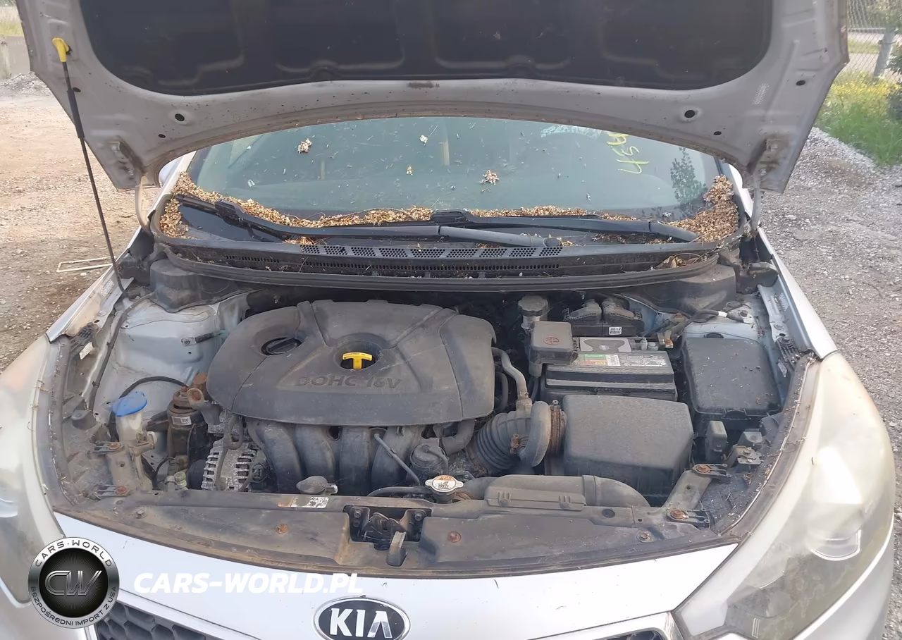 2014 Kia Forte Lx VIN:KNAFK4A64E5112712 - 10