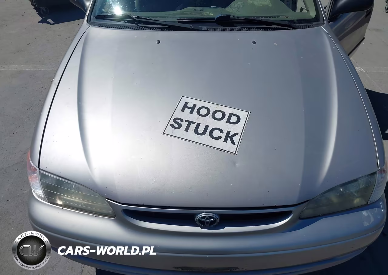 1998 Toyota Corolla Ce VIN:1NXBR12E1WZ040923 - 10