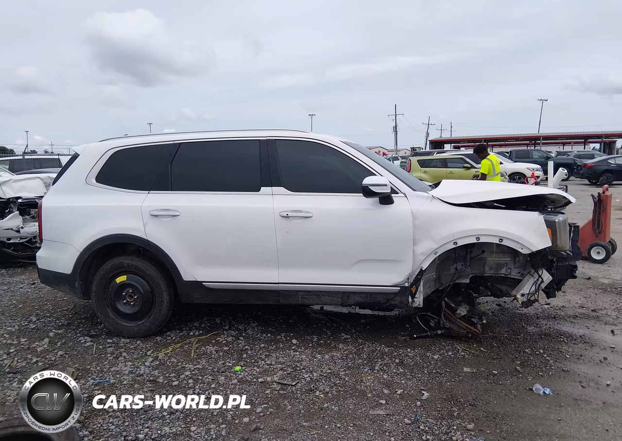 2025 Kia Telluride S VIN:5XYP64GC7SG625920 - 14