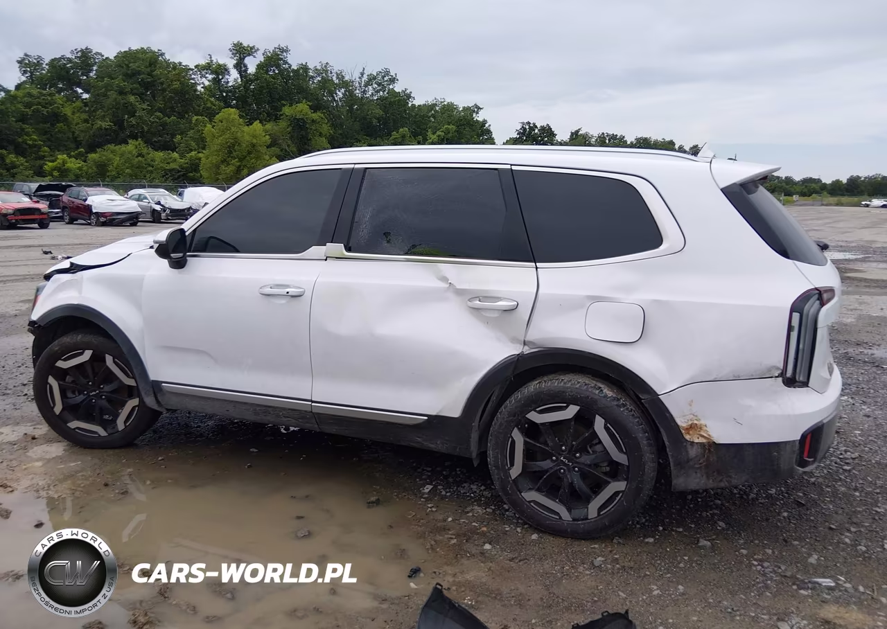 2025 Kia Telluride S VIN:5XYP64GC7SG625920 - 15