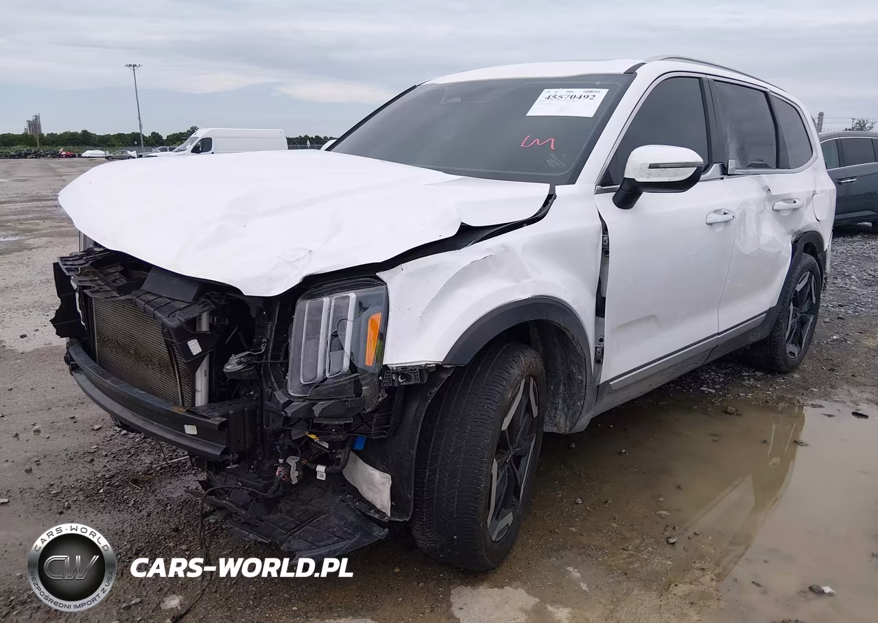2025 Kia Telluride S VIN:5XYP64GC7SG625920 - 2