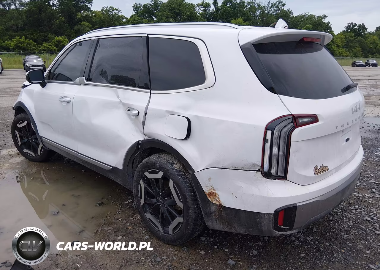 2025 Kia Telluride S VIN:5XYP64GC7SG625920 - 3