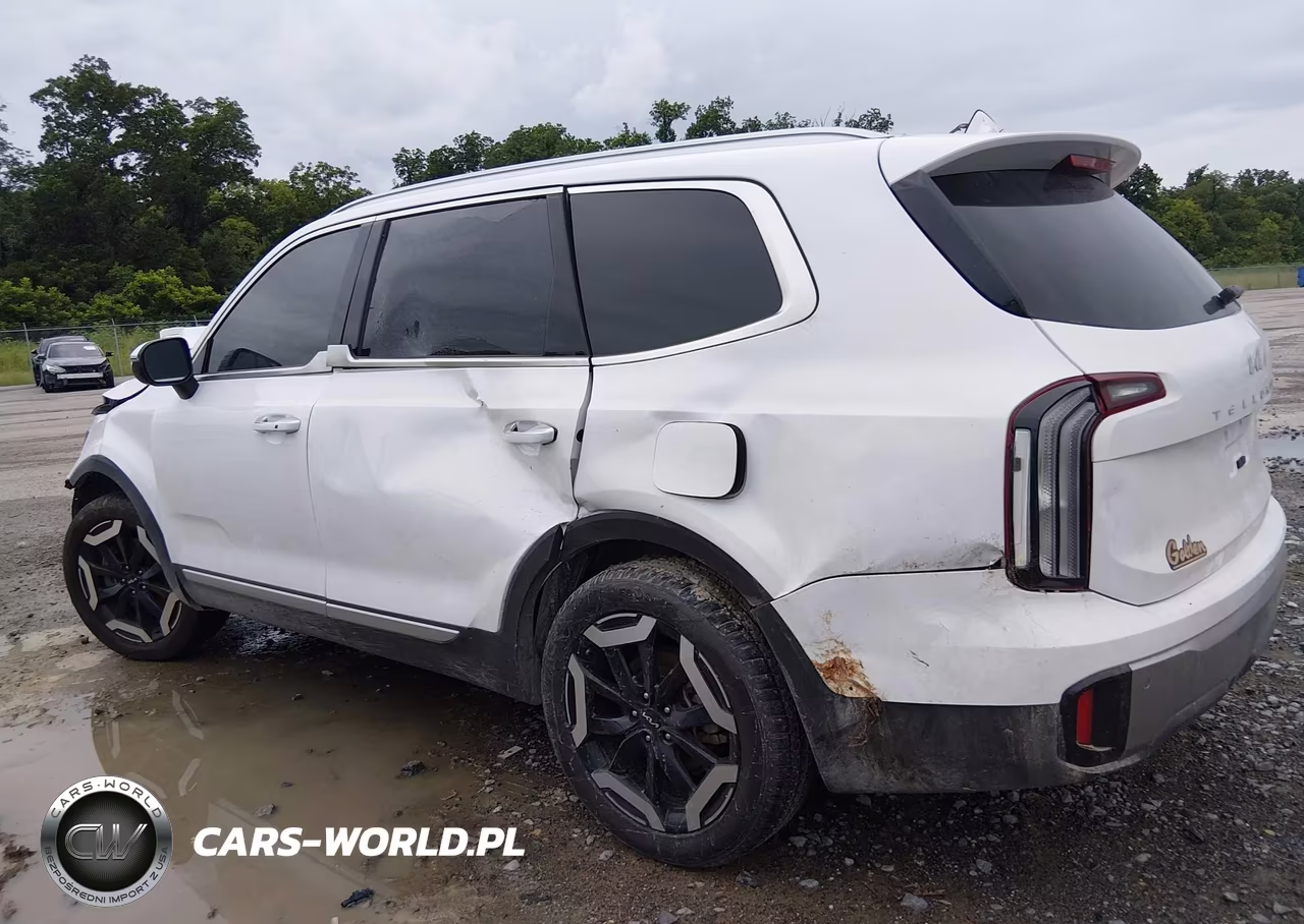 2025 Kia Telluride S VIN:5XYP64GC7SG625920 - 6