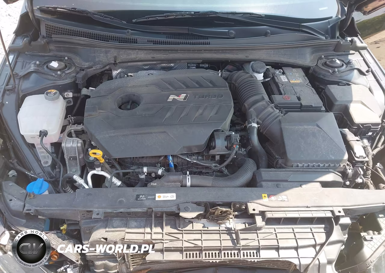 2023 Hyundai Elantra N VIN:KMHLW4AK8PU009305 - 10