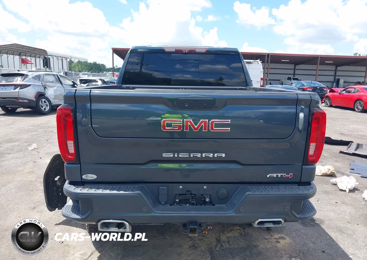 2020 GMC Sierra 1500 4Wd Short Box At4 VIN:3GTU9EET2LG215919 - 17