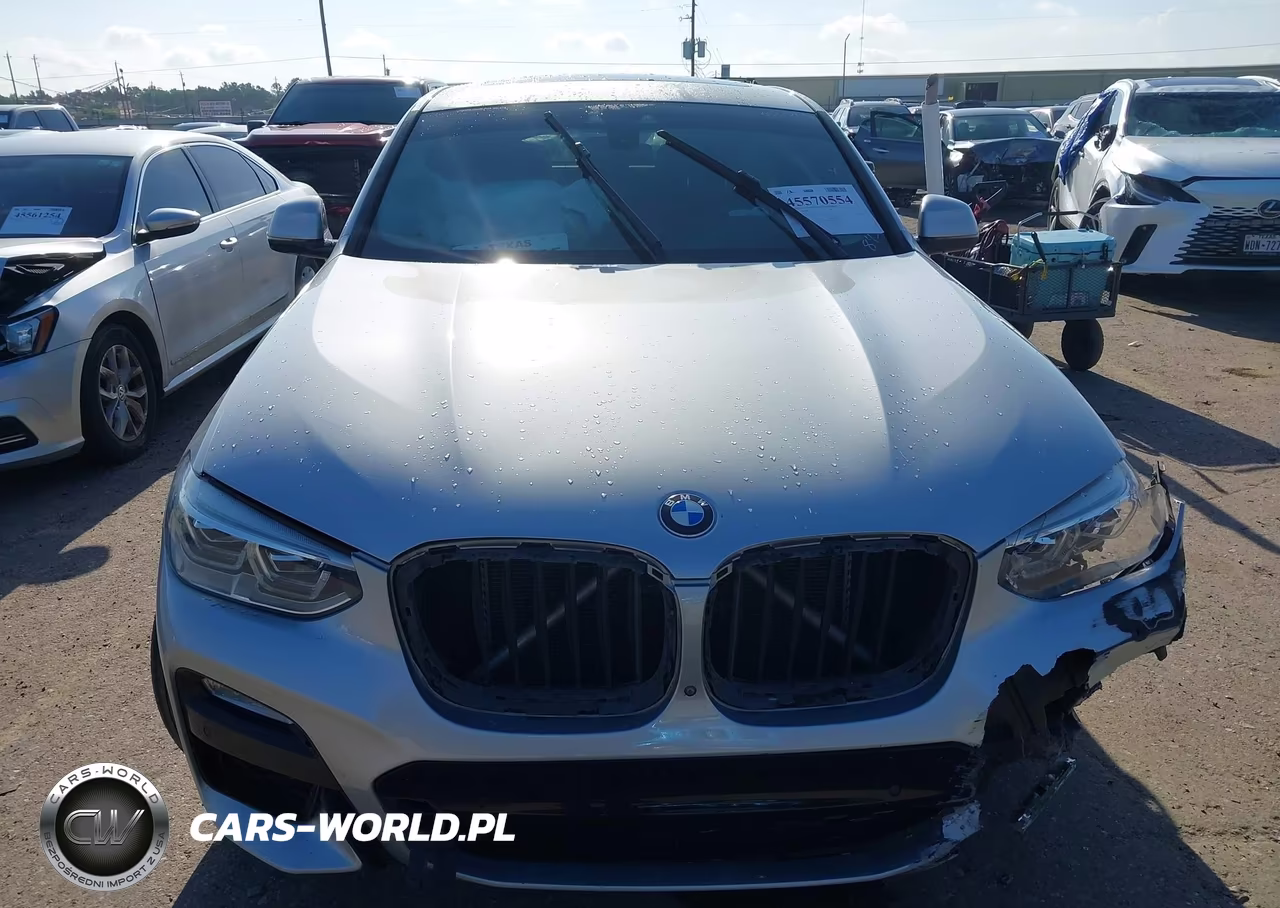 2019 BMW X4 xDrive30I VIN:5UXUJ3C55KLA58437 - 12