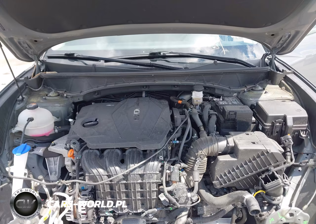 2024 Hyundai Tucson Sel VIN:5NMJBCDE1RH296116 - 10