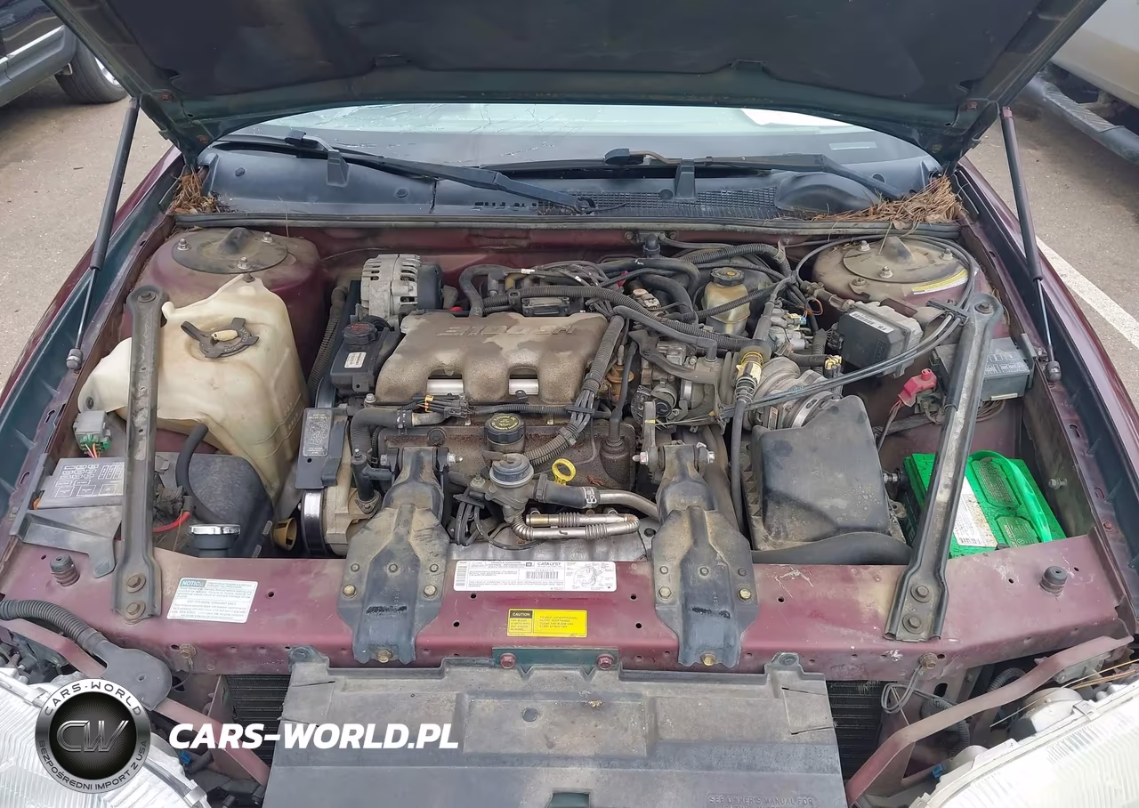 2001 Chevrolet Lumina VIN:2G1WL52JX11274115 - 10