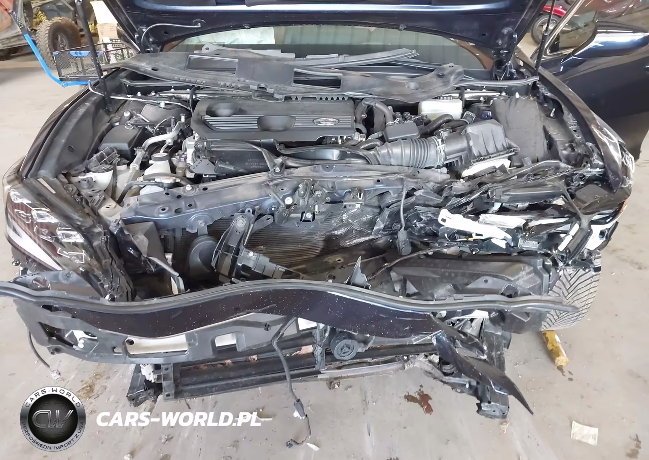2022 Lexus Es 300H Ultra Luxury VIN:58AFA1C14NU019057 - 10