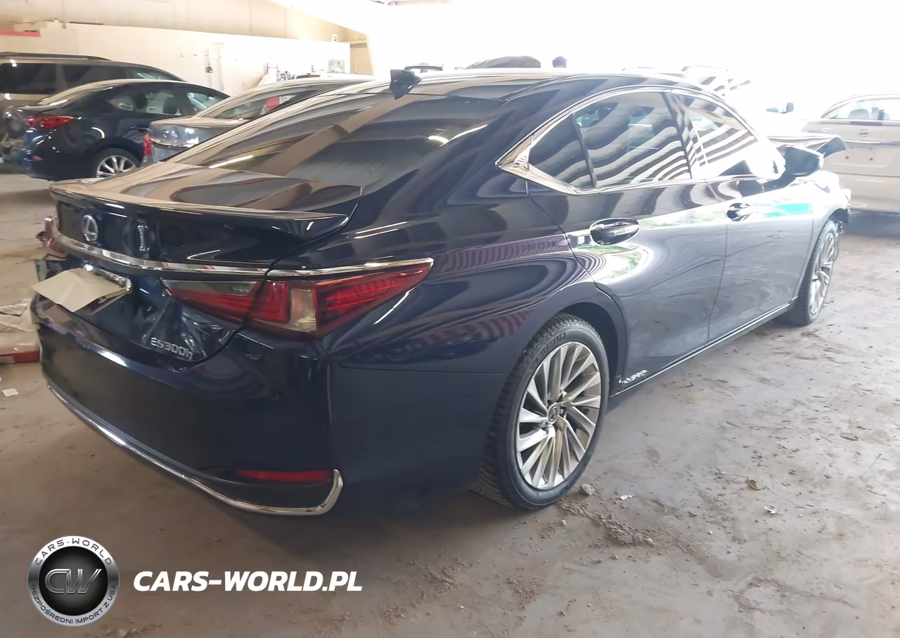 2022 Lexus Es 300H Ultra Luxury VIN:58AFA1C14NU019057 - 4