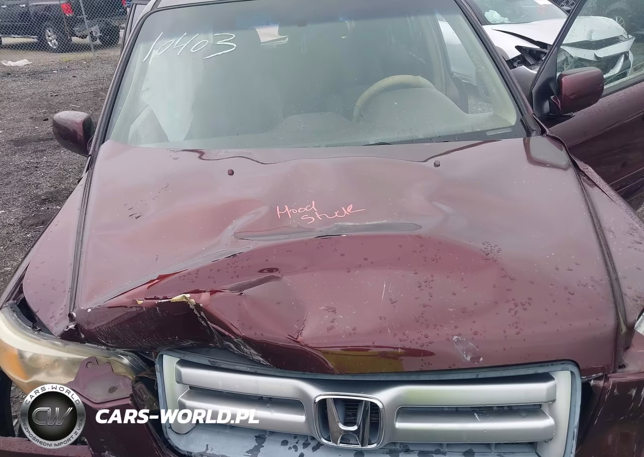 2007 Honda Pilot Ex VIN:5FNYF28477B013635 - 10