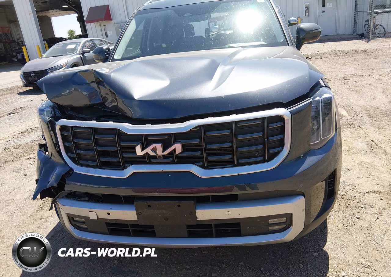 2023 Kia Telluride Sx Prestige VIN:5XYP5DGC7PG377579 - 12