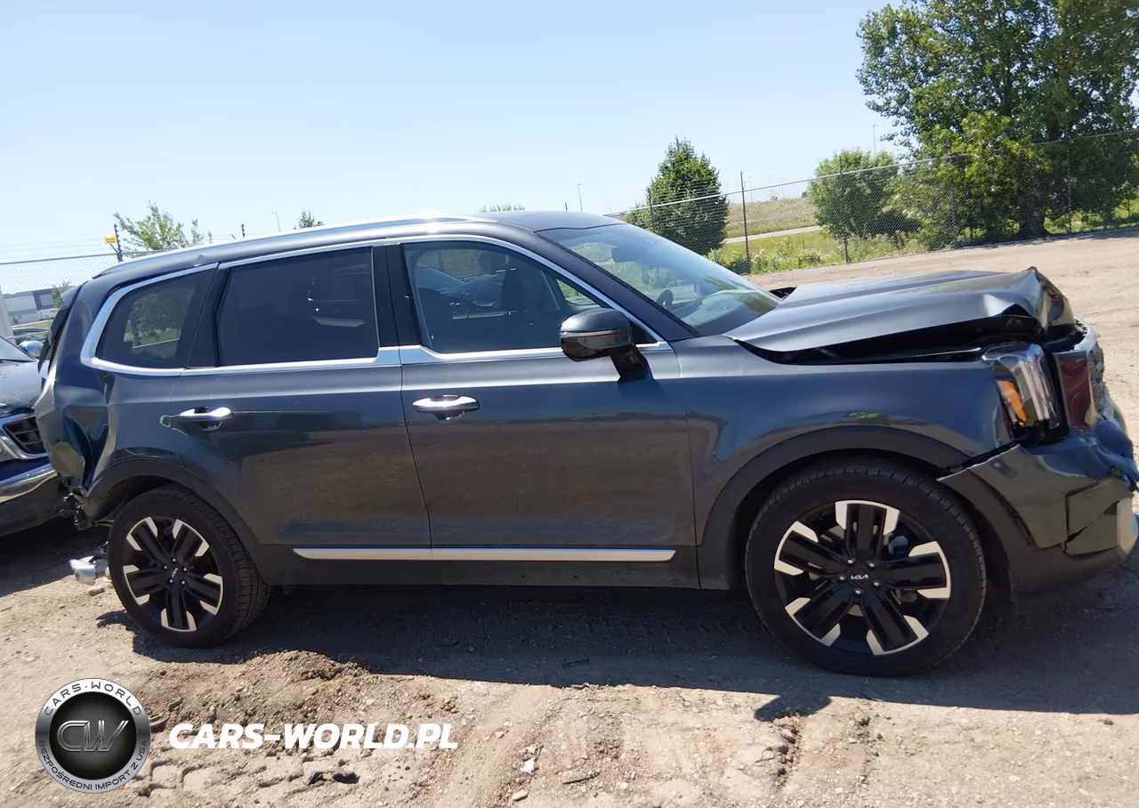 2023 Kia Telluride Sx Prestige VIN:5XYP5DGC7PG377579 - 13